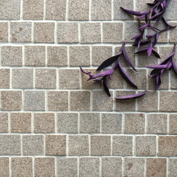 Honey Jesper Granite